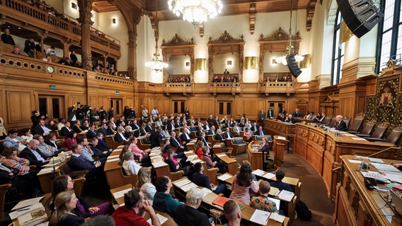 Alterspräsident Ralf Niedmers (CDU, r) spricht bei der konstituierenden Sitzung der Hamburgischen Bürgerschaft im Rathaus. © picture alliance/dpa Foto: Christian Charisius