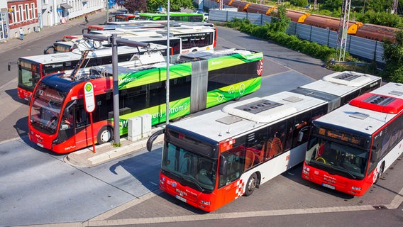 Mehrere Busse stehen am Osnabrücker Busbahnhof. © picture alliance / imageBROKER | Torsten Krüger Foto: Torsten Krüger