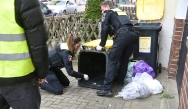 Hannover: Messer-Attacke auf Brüder – Polizei sucht Spuren im Müll | Regional
