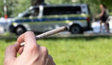 Ein Jahr Cannabisgesetz: Bilanz in Hamburg fällt gemischt aus | NDR.de - Nachrichten