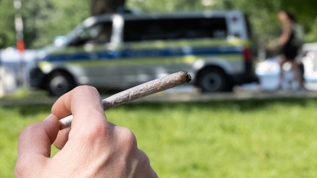 Ein Jahr Cannabisgesetz: Bilanz in Hamburg fällt gemischt aus | NDR.de - Nachrichten