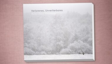 Bildband "Verlorenes, Unverlierbares": Fast wie Caspar David Friedrich | NDR.de - Kultur