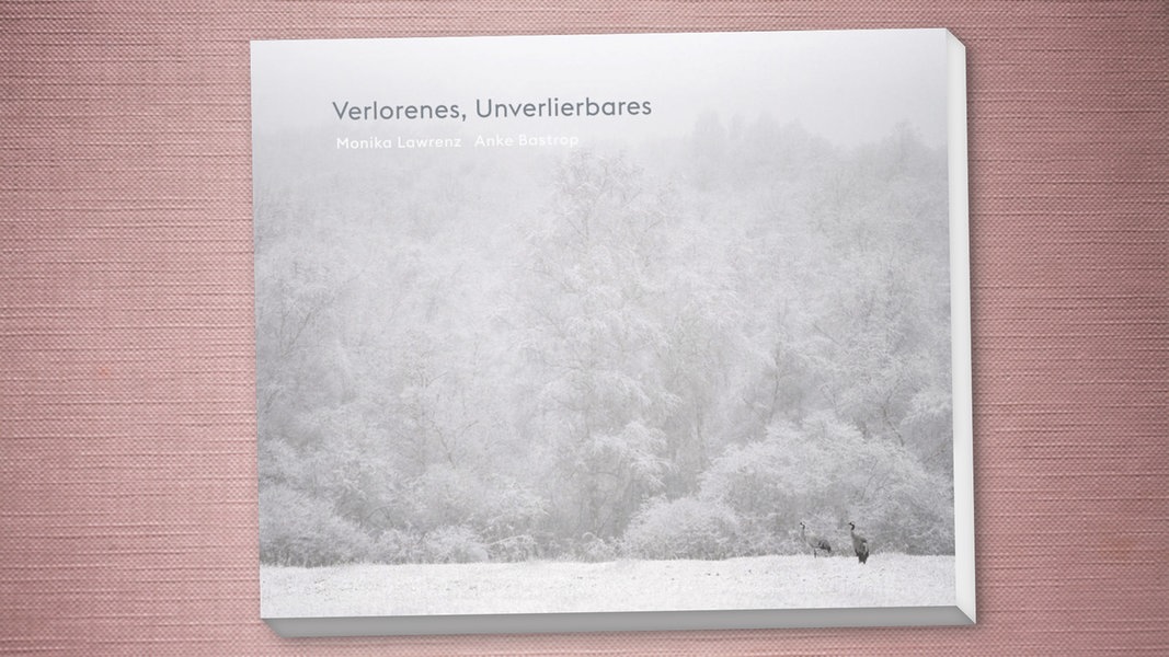 Bildband "Verlorenes, Unverlierbares": Fast wie Caspar David Friedrich | NDR.de - Kultur