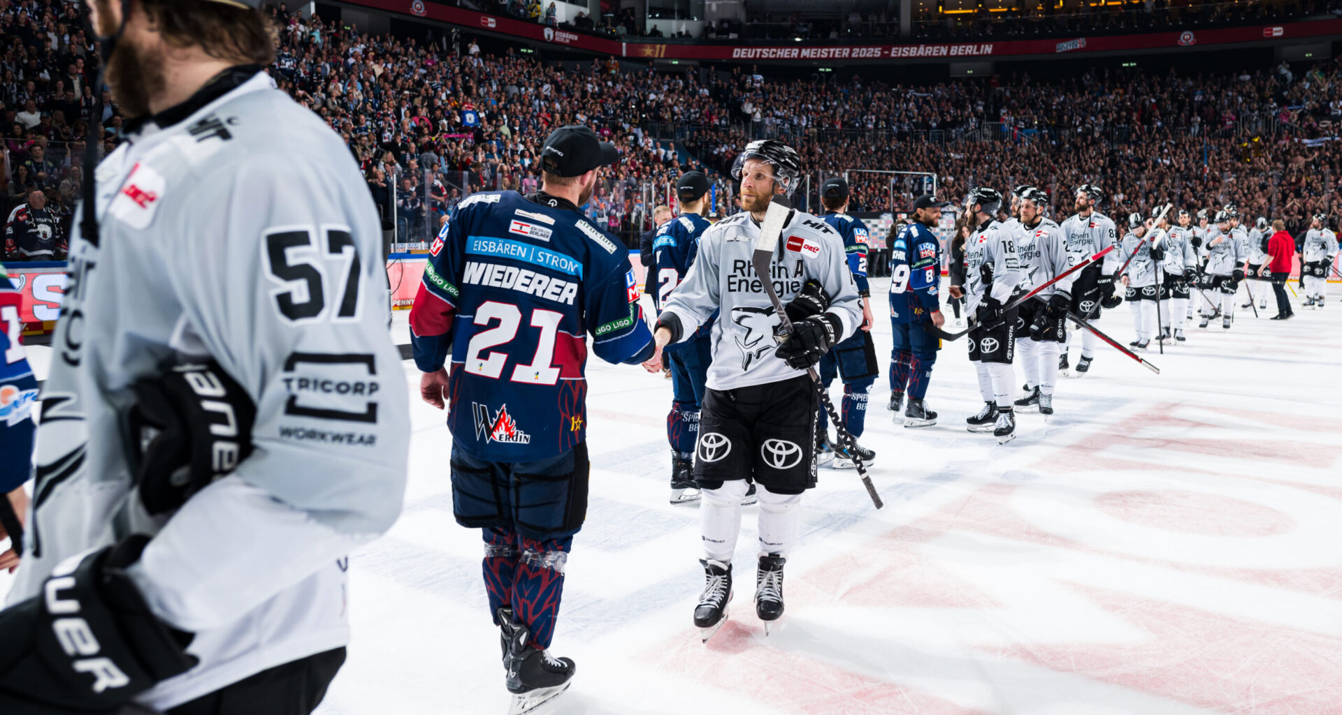 Niederlage in Spiel 5 der Finalserie - Haie beenden Saison als Vizemeister