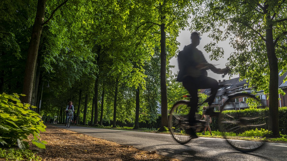 und-Leben.de - Radfahren, Schnitzel und Lieblingskirche: Antonius Hamers im Fragenhagel