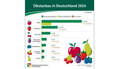 Infografik: Obstanbau in Deutschland 2024