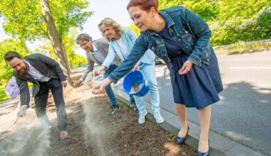 BMUV: Bundesumweltministerium fördert mehr Stadtgrün in Bonn