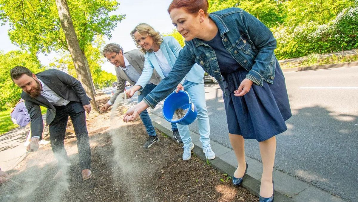 BMUV: Bundesumweltministerium fördert mehr Stadtgrün in Bonn