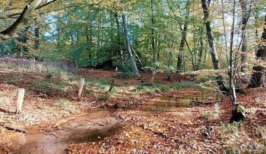 Bielefelder Rangertouren jetzt auch für Einzelpersonen