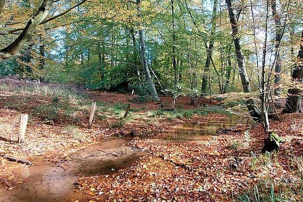 Bielefelder Rangertouren jetzt auch für Einzelpersonen