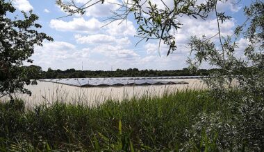 SolarPower Europe: Chance Nachhaltigkeit in der solaren Wertschöpfungskette