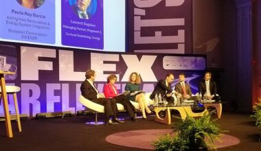 SolarPower Europe: Erweiterter Fokus auf Speicher und Flexibilität