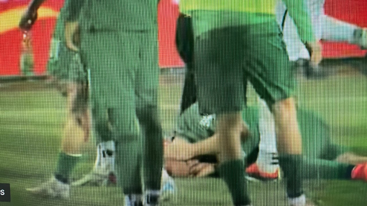 Schlimme Szenen in der Regionalliga: Böller explodiert neben Spieler | Sport