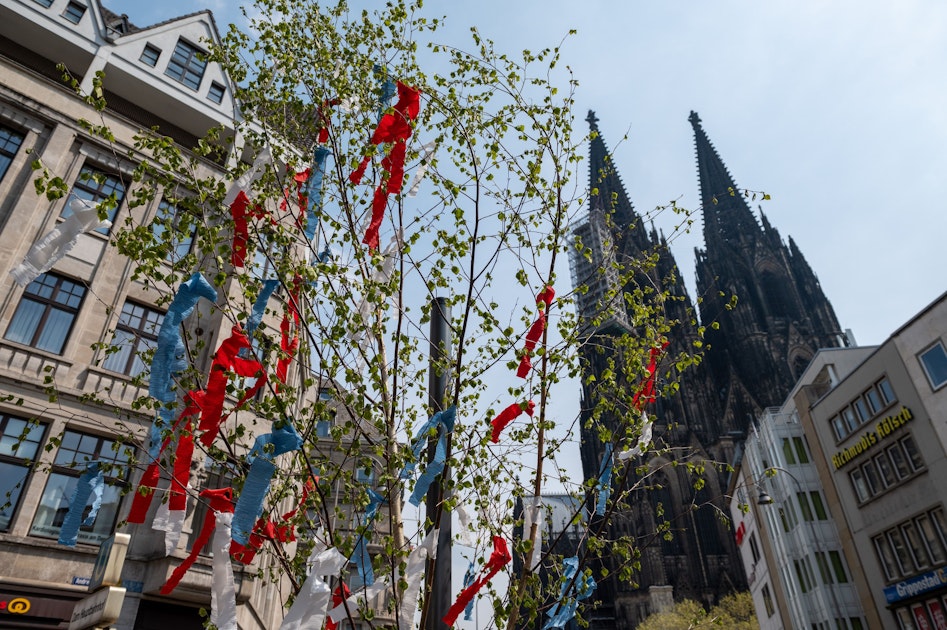Maibäume kaufen in Köln: Verkaufsstellen für den 1. Mai 2025