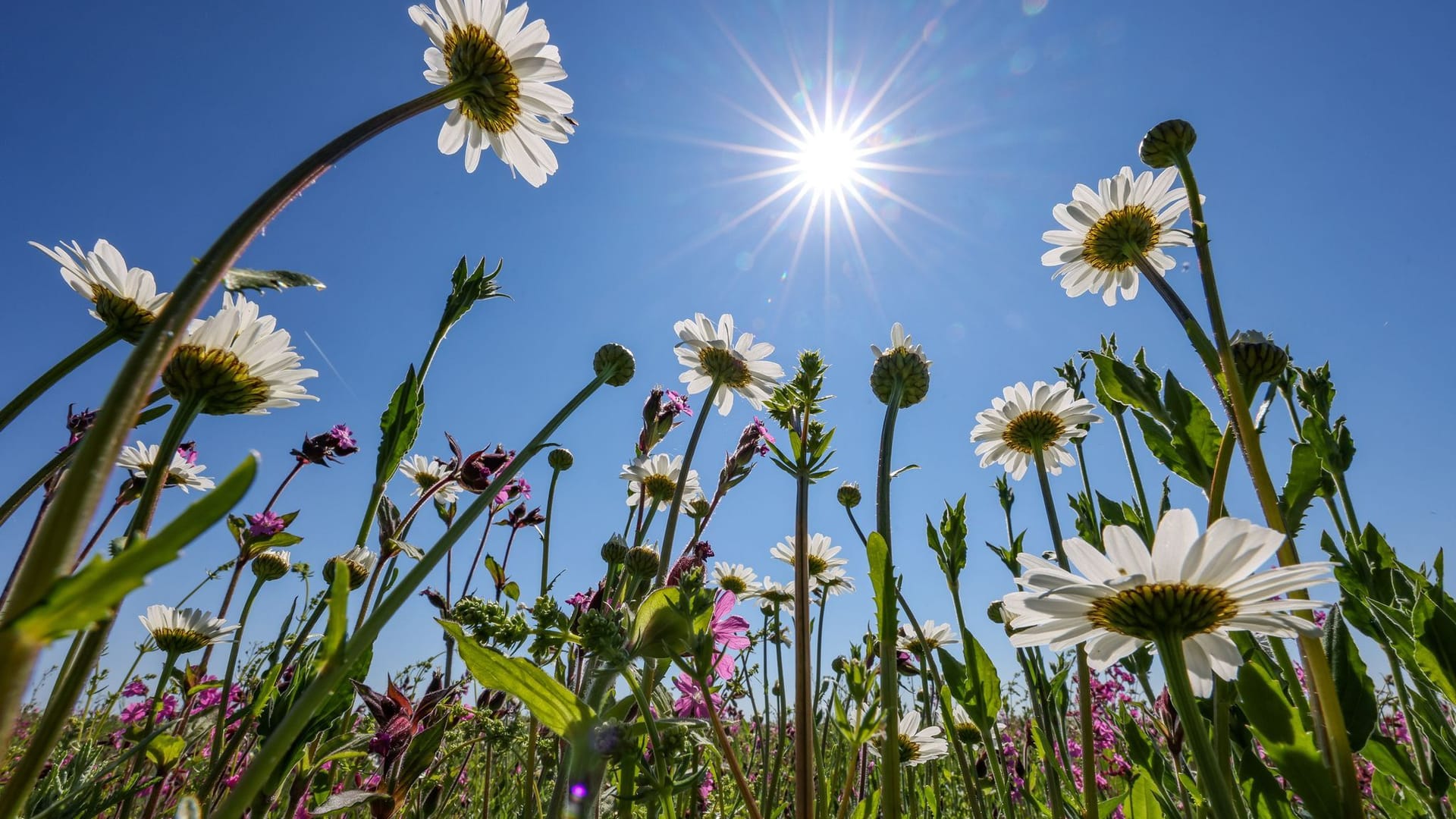 Sonniges Wetter in Berlin und Brandenburg.