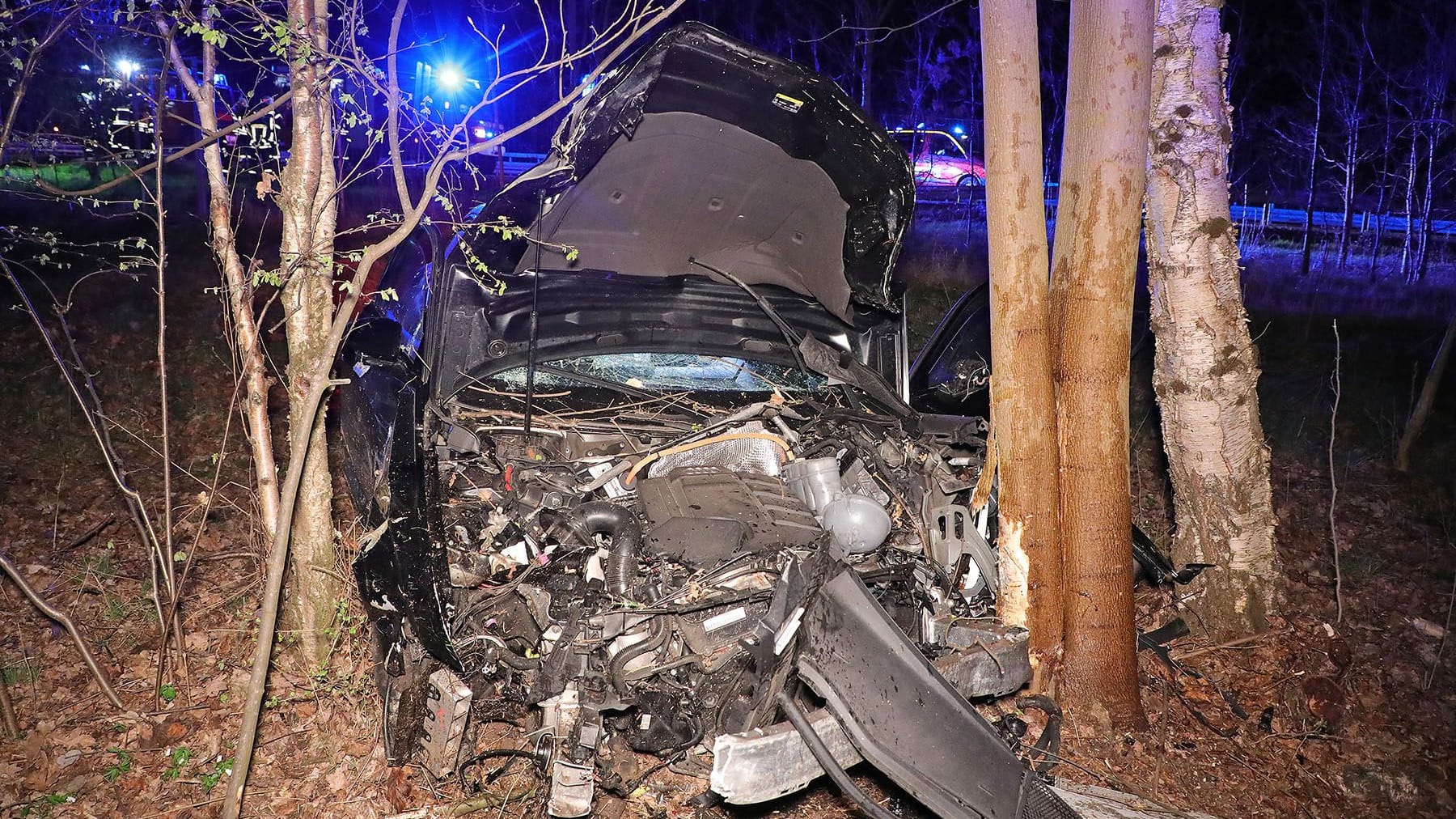 Der Audi prallte frontal gegen einen Baum.