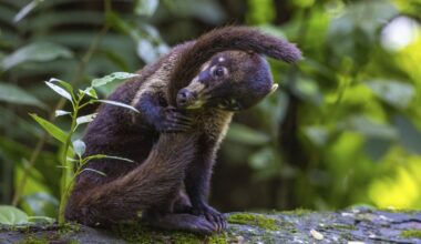 Zoo Leipzig: Pfleger greifen durch! Unruhe-Stifter muss ausziehen