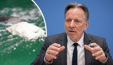 Drogen: BKA-Boss warnt vor Kokain-Schwemme in Deutschland | News