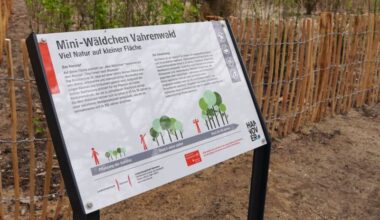 Mini-Wäldchen in Vahrenwald