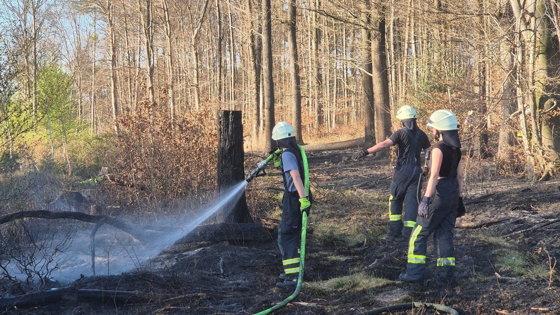 Waldbrand im Königsforst