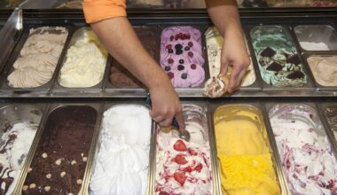 Kosten in Eisdielen am Römer, in der MyZeil und Co.