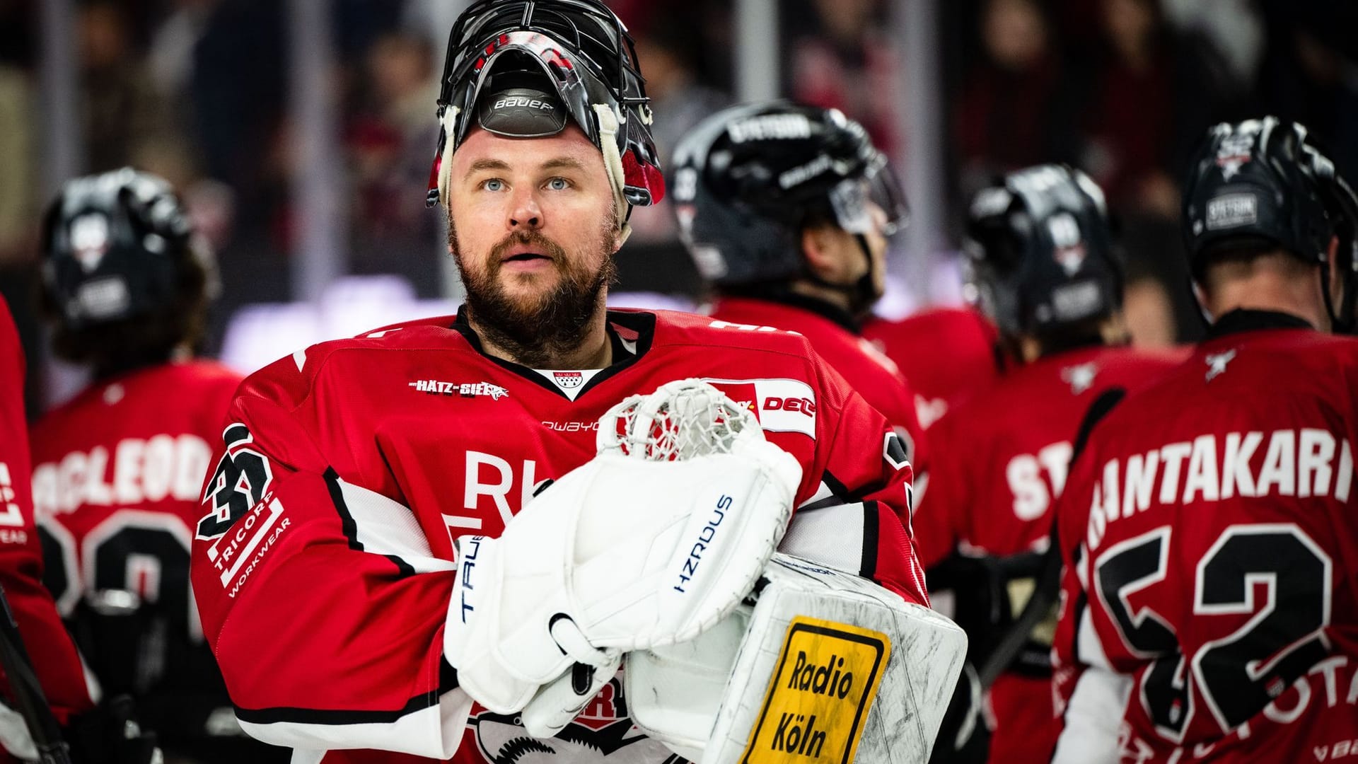 Kölner Haie - Eisbären Berlin