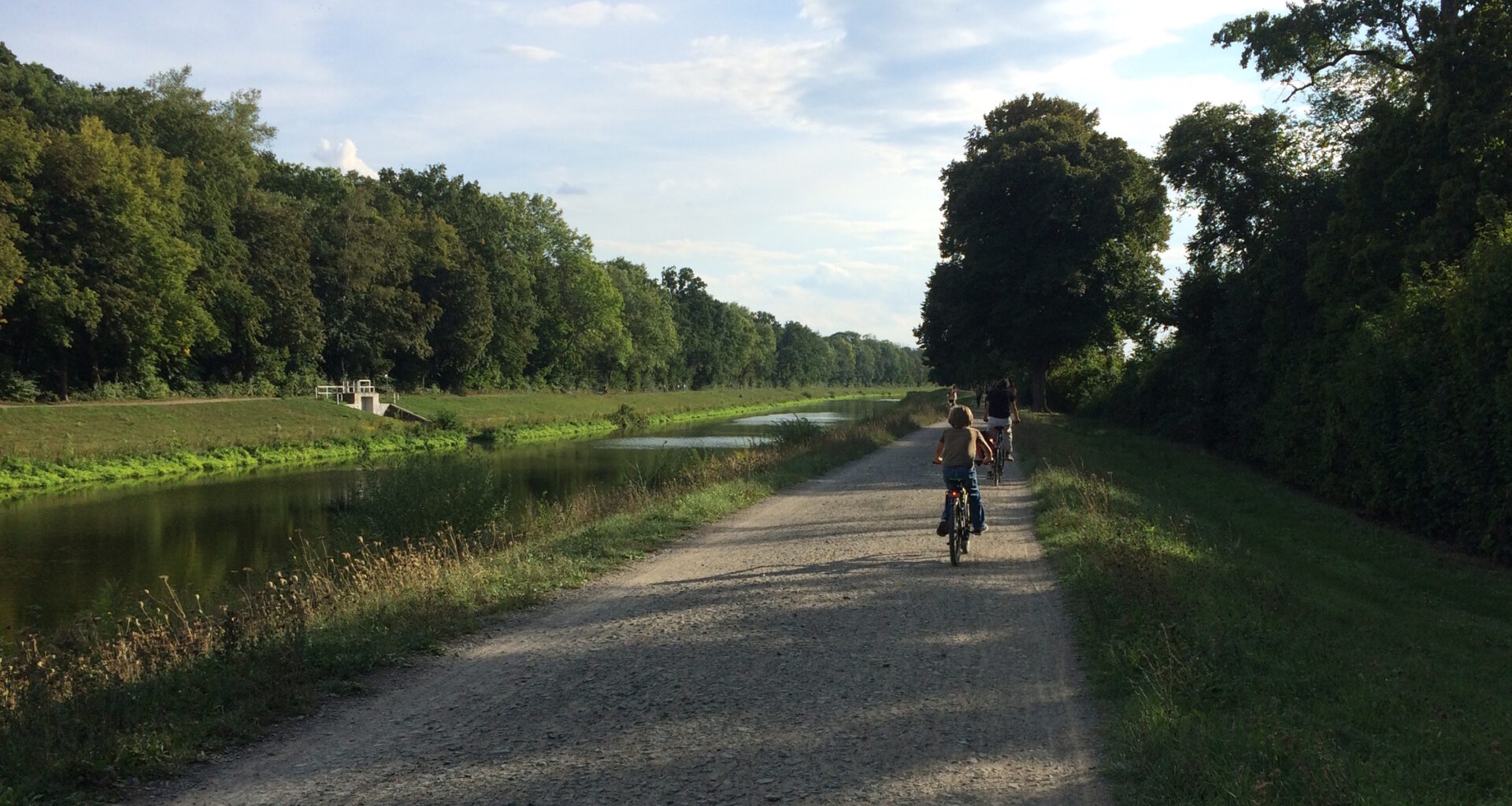 Erleben wir noch den Ausbau des Weges zum Teilungswehr? · Leipziger Zeitung