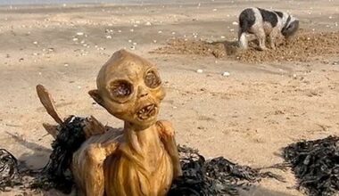 Strandbesucher stehen in Margate (England) vor einem Rätsel.