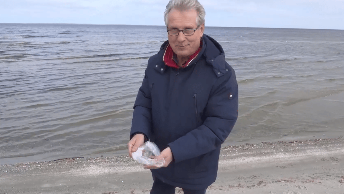 Mann sucht Strand ab für einzigartiges Kunstwerk