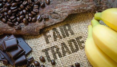 Kaffee und Kakao - Hamburgs bitter-süßes Geschäft mit den Kolonialwaren | NDR.de