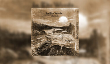 IN THE WOODS ... - Otra