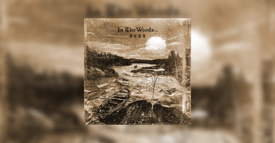 IN THE WOODS ... - Otra