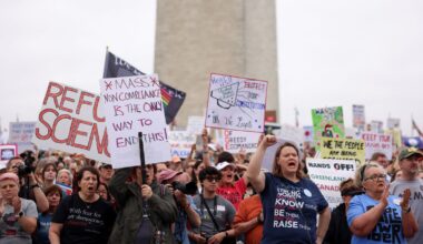 "Nicht mein Präsident": Anti-Trump-Proteste in den USA