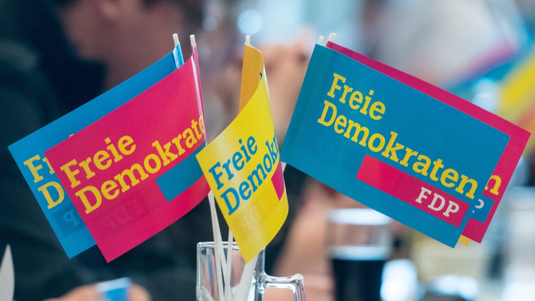 Hamburgs FDP diskutiert über Wahlergebnis und wählt neuen Vorsitzenden | NDR.de - Nachrichten