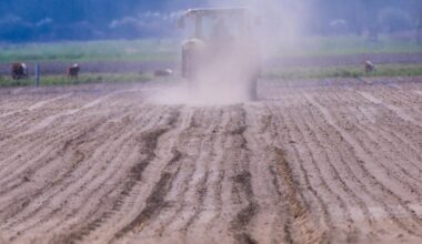 EU-Parlamentarier sehen eher Rückschritte beim Klimaschutz