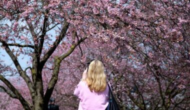 Wetter und Wettervorhersage für Ostern und die nächsten 10 Tage
