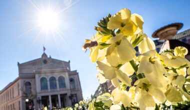 Wetter in München heute, 4.4.: Sonniger Start ins Wochenende