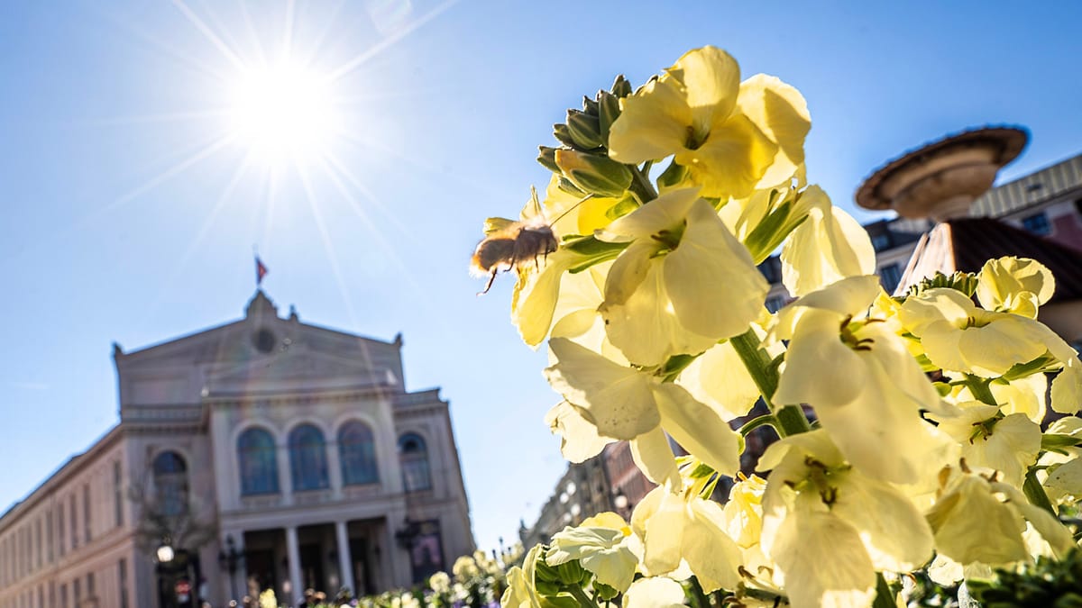 Wetter in München heute, 4.4.: Sonniger Start ins Wochenende