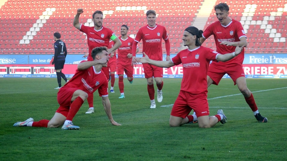 FSV Zwickau findet gegen Hertha II zurück in die Erfolgsspur