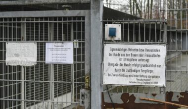 Tierheim Gelsenkirchen: Nach Überschwemmung ist es sichtbar