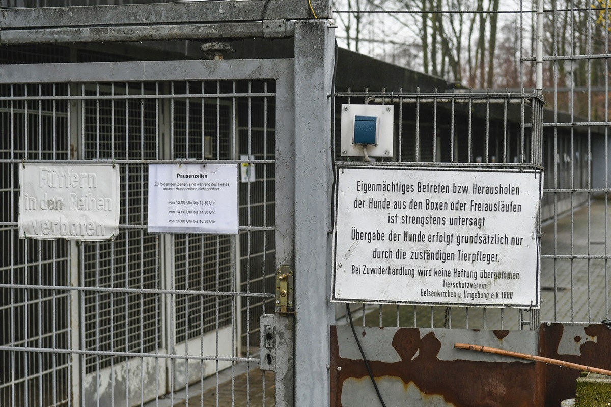 Tierheim Gelsenkirchen: Nach Überschwemmung ist es sichtbar