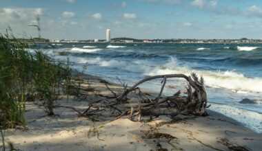GEOMAR Kiel: Ostsee durchlebt extreme Erwärmung | NDR.de - Nachrichten