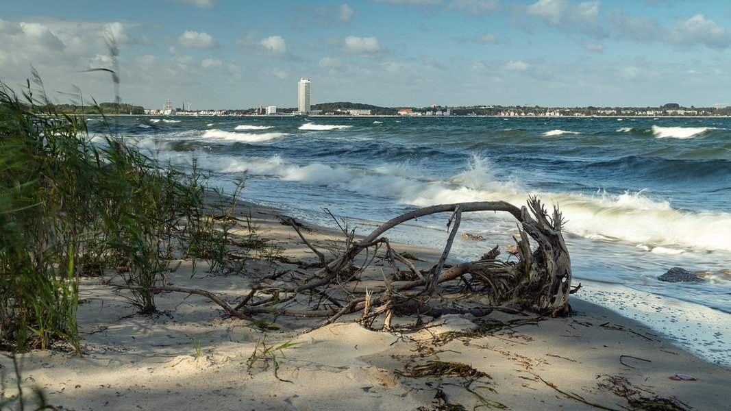 GEOMAR Kiel: Ostsee durchlebt extreme Erwärmung | NDR.de - Nachrichten