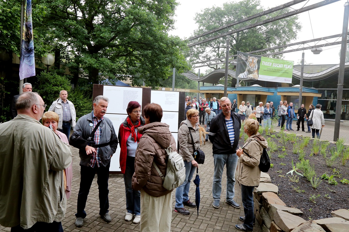 Zoo Duisburg lässt Tier raus - doch Besucher brauchen starke Nerven