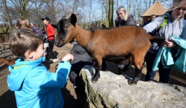Zoo Duisburg: Oster-Hammer! Vor allem diese Besucher freuen sich