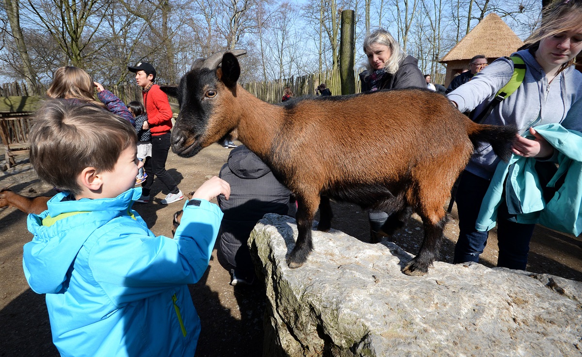 Zoo Duisburg: Oster-Hammer! Vor allem diese Besucher freuen sich
