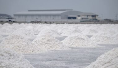 CATL kündigt Massenproduktion an: Steht der Natrium-Akku vor Durchbruch bei E-Autos?