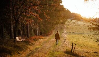 "Super einsam" von Anton Weil
· Dlf Nova