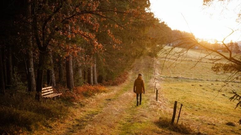 "Super einsam" von Anton Weil
· Dlf Nova