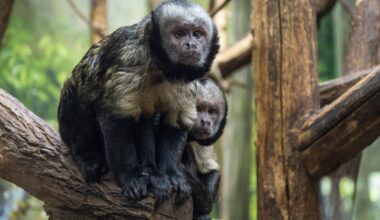 Tierpark Berlin